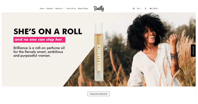 Online Business Ideas Bailly