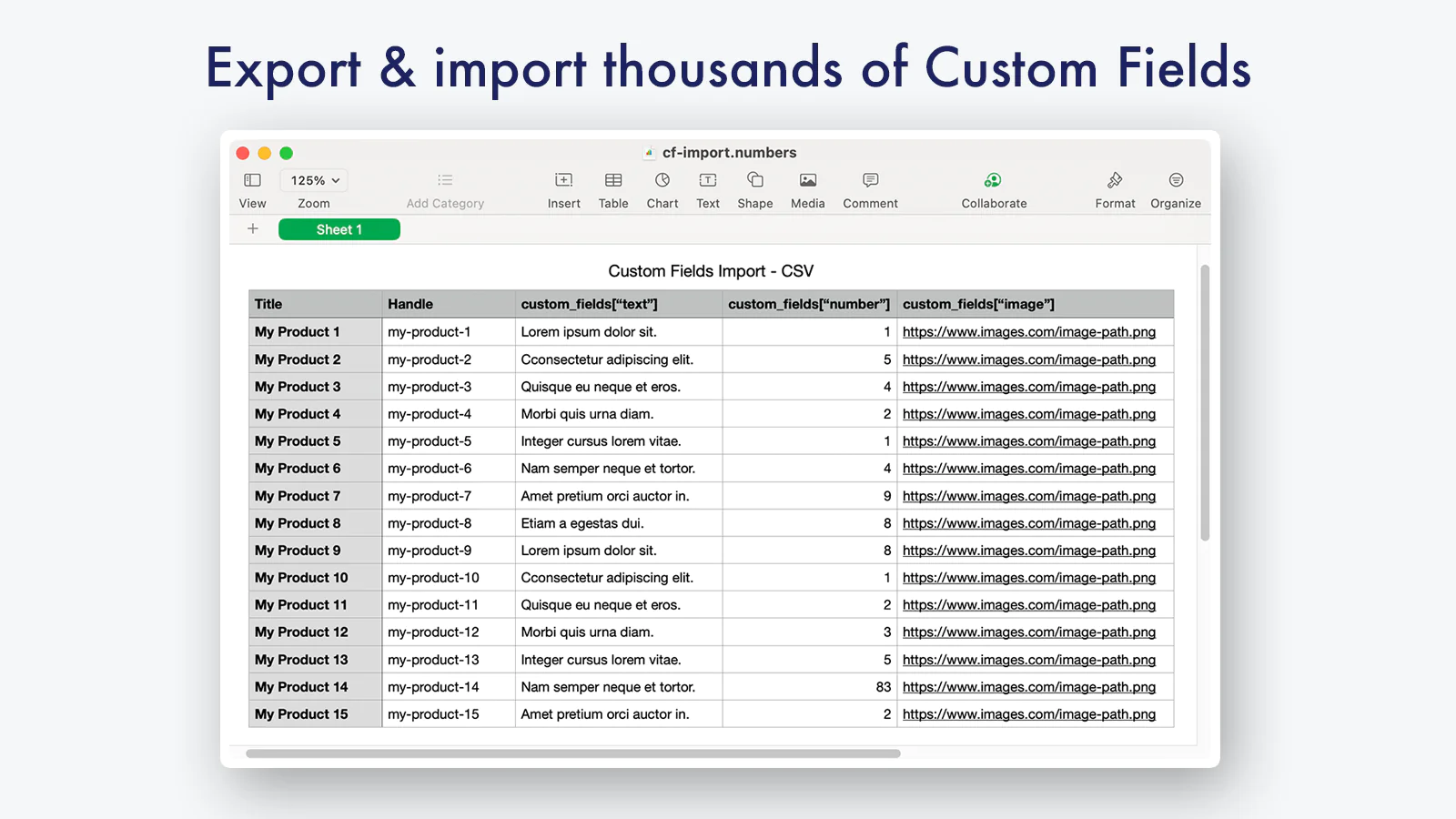 bonify-custom-fields-export-import
