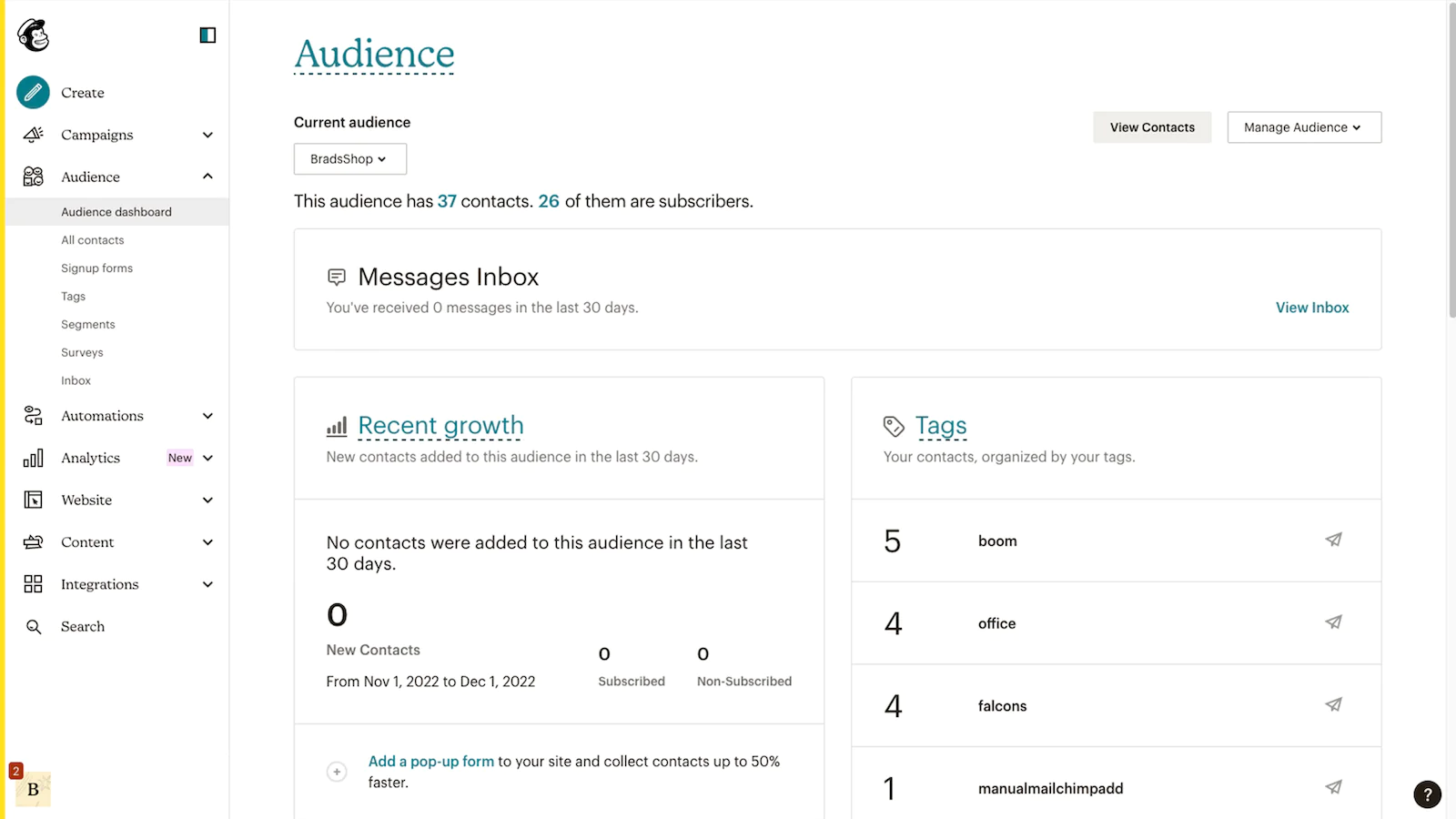 mailchimp-email-marketing-app-audience